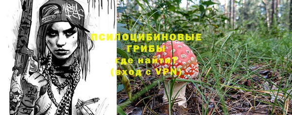 стафф Баксан